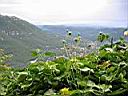 vue de gourdon