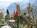 jardin botanique � eze