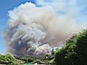 Le feu pr�s de la Bouverie en Juillet 2005
