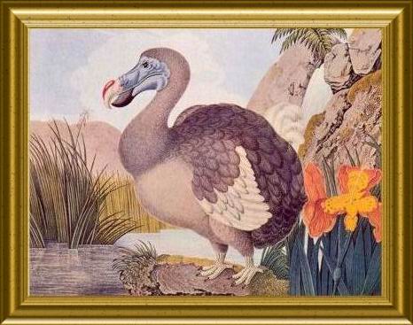 &nbsp;L'embl�me de l'ile Maurice, le DODO, oiseau disparu vers 1680
