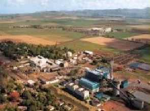 propri�t� et usine de Bellevue-Mauricia