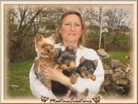 Martine et ses trois York !