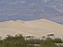 dunes de sable dans la vall�e de la Mort - photo Xav